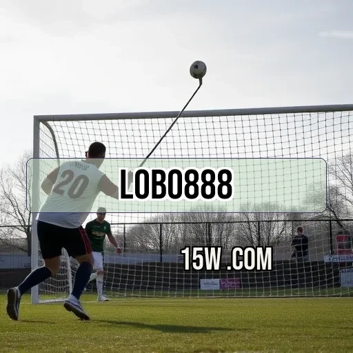 lobo888.com Programa VIP